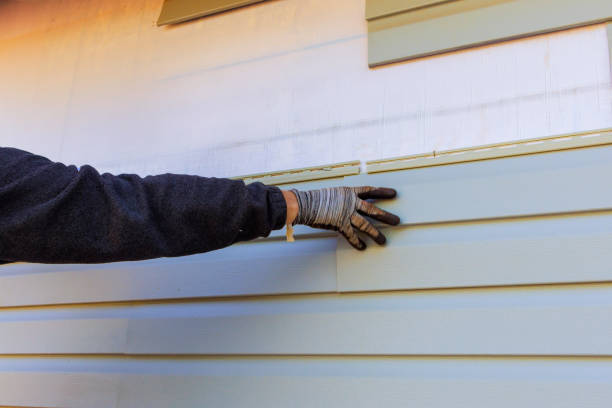 Affordable Siding Repair and Maintenance Services in Dillonvale, OH